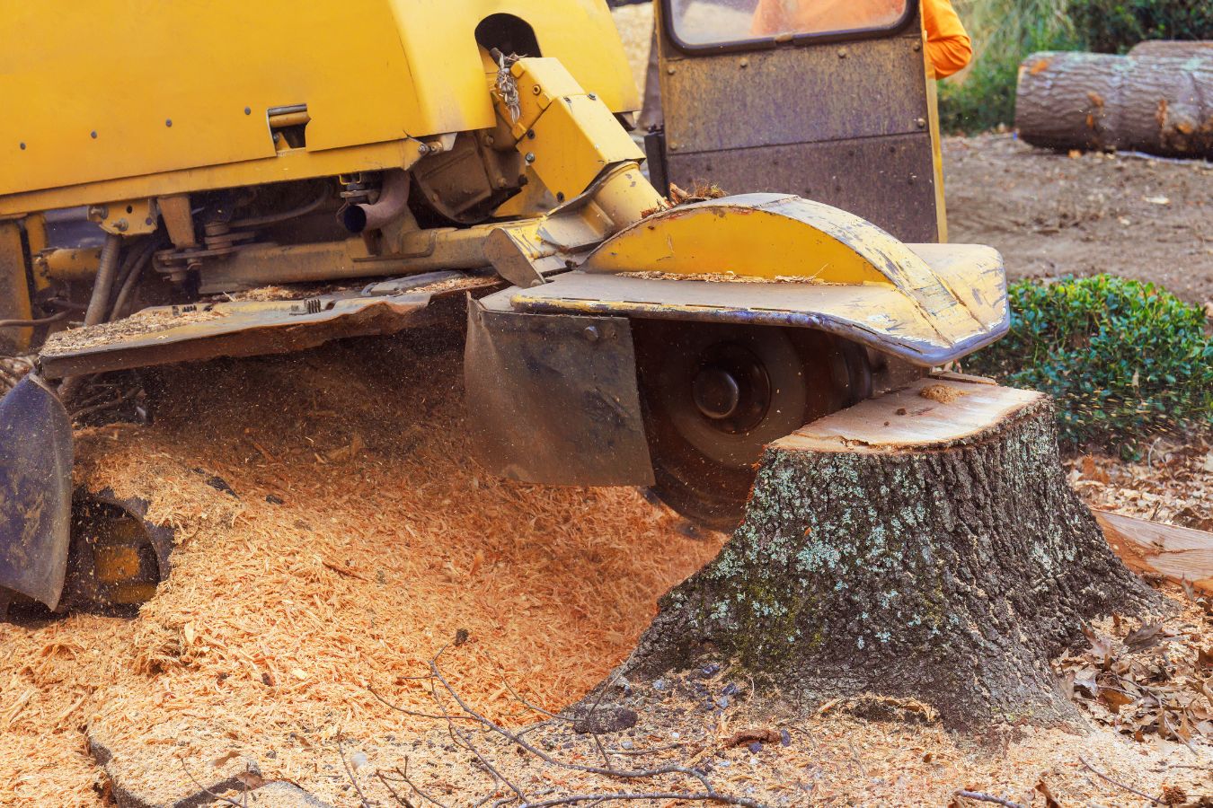 Stump grinding service in Arlington TN